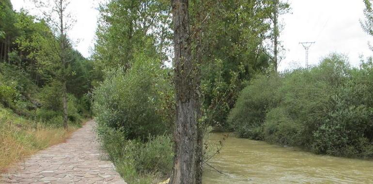La restauración de ríos centrará un congreso en León 