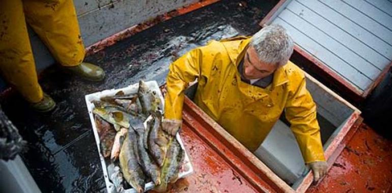 Pesca artesanal y Greenpeace presentan sus demandas ante la Reforma de la PPC