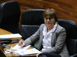 Asturias inicia la tramitación de la ley sobre acción concertada