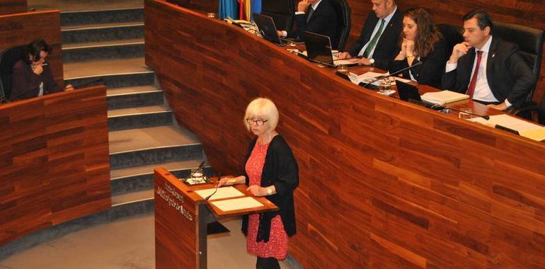 El Parlamento exige la revisión de las obras del Castro del Chao Samartín 