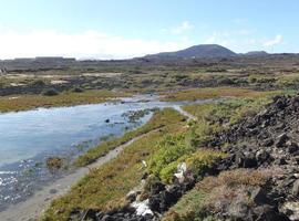 Una investigación de la Universidad de Oviedo ayuda a proteger el patrimonio natural de Fuerteventura 