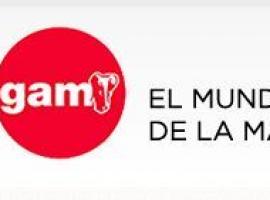 GAM cierra su primera subasta de 2018 con más de 10 millones de euros puestos a la venta