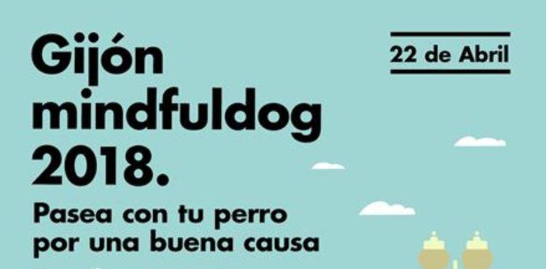 Gijón se prepara para el Mindfuldog 2018