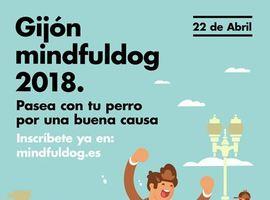 Gijón se prepara para el Mindfuldog 2018