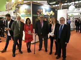 Asturias y Cantabria piden un marco más justo para su viticultura heróica