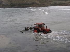 Ecologistas contra el rastrillo para la recogida de algas de arribazón