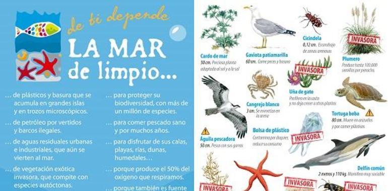 La Fundación Oxígeno se va a la playa