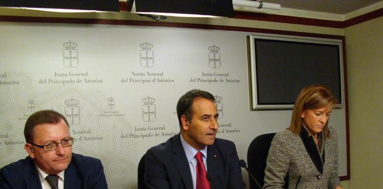 PSOE, PP e IU pactan una Ley que impide al Gobierno ajustes en la TPA y otras empresas