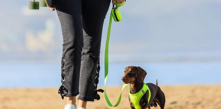 The Top 10 Easter Beaches to Enjoy With Your Dog in Spain: A Guide from Dukier Pet Accessories Ecommerce