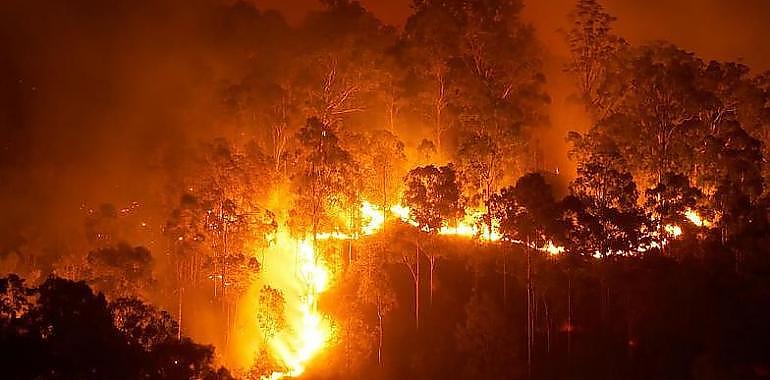 Se contabilizan en Asturias ocho incendios forestales en estos momentos
