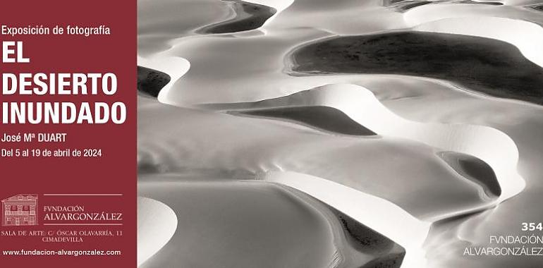 El desierto inundado: una mirada a la belleza del contraste en la nueva exposición de la Fundación Alvargonzález
