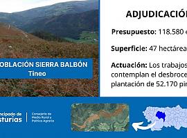 La sierra de Balbón reverdecerá con 52.000 pinos: Medio Rural adjudica la repoblación de 47 hectáreas