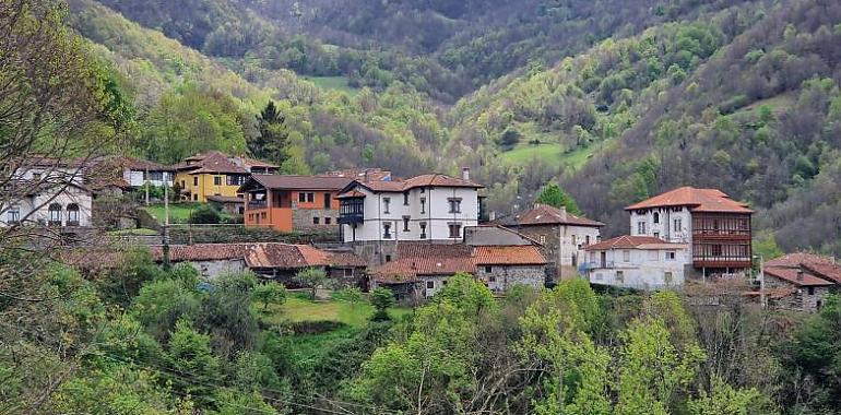 Transporte a demanda para combatir la despoblación en Asturias