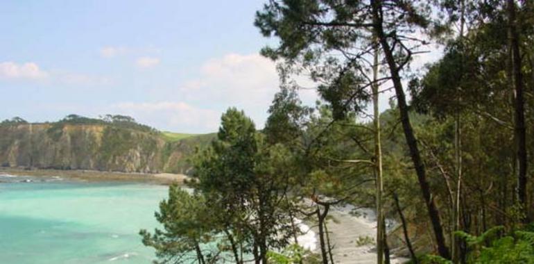 Aprobada la restauración de accesos a la playa de Torbas, en Coaña