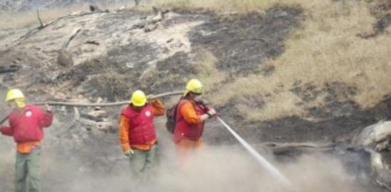Chile lucha con todos los recursos contra los devastadores incendios forestales