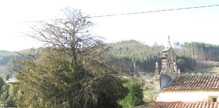 El Principado protege doce sitios históricos de Asturias con texu monumental  