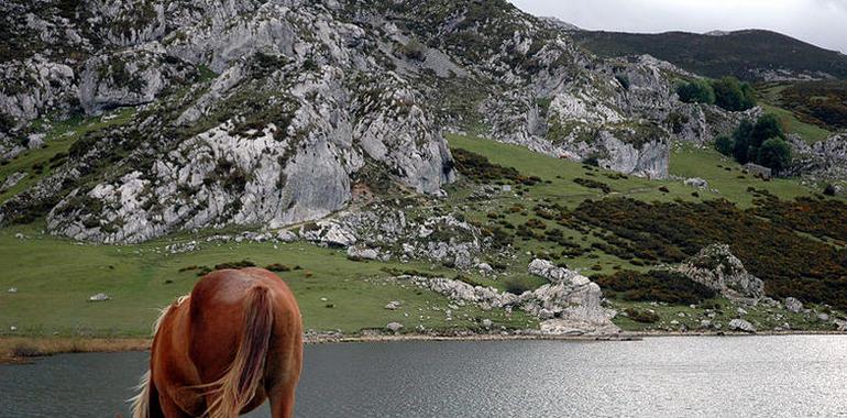 Asturias potenciará su cuota de turismo internacional en la ITB de Berlín y en Randoneés de París 
