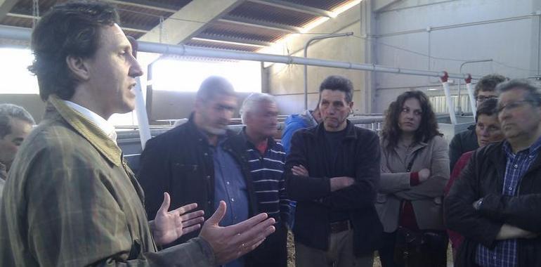 Las mejoras en el cebadero de Quirós permitirán incrementar la capacidad hasta los 600 terneros al año