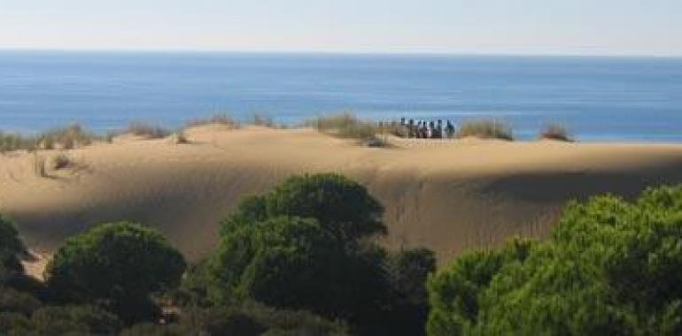 WWF alerta de una nueva balsa ilegal en Doñana