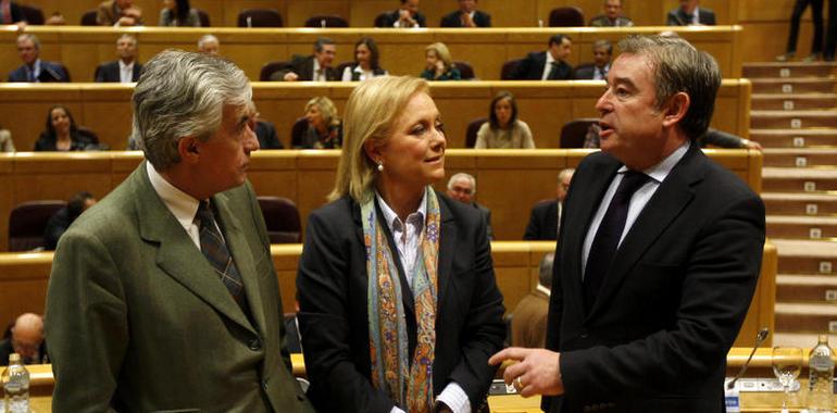 El portavoz del PP en el Senado participa en distintos actos de campaña en Asturias