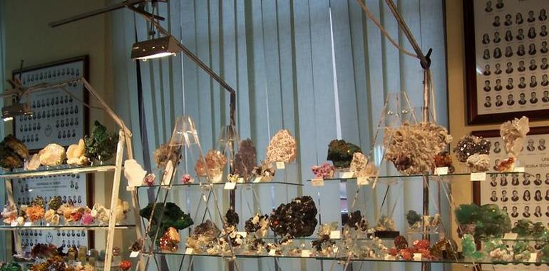 XXIII Certamen de Minerales, Gemas y Fósiles