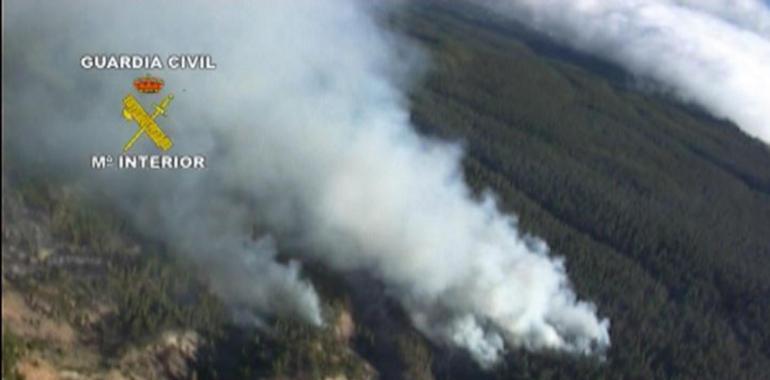 La Guardia Civil detiene al presunto autor del incendio forestal en Las Ubiñas-La Mesa