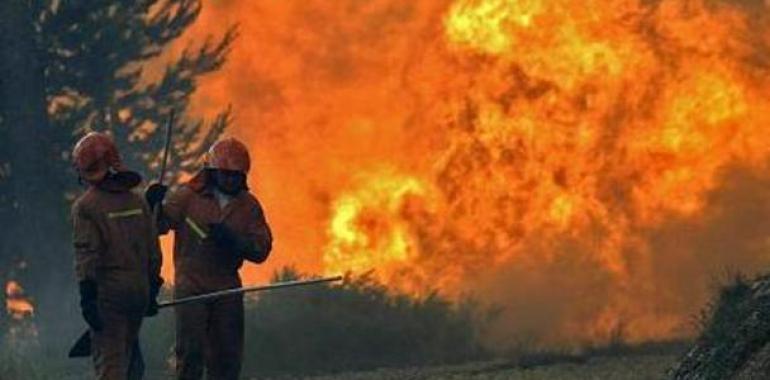 48 incendios forestales permanecen activos en Asturias