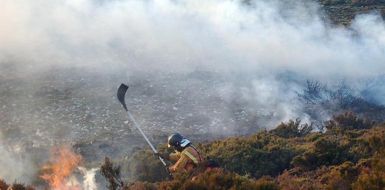 Permanecen activos 84 incendios forestales en Asturias