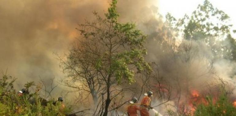 Permanecen activos 32 incendios forestales de los 107 declarados esta semana