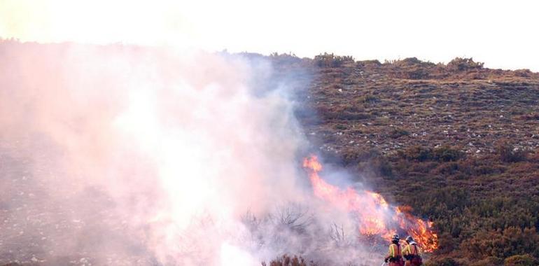 La lucha contra el fuego rebaja a los 16 incendios forestales activos en Asturias