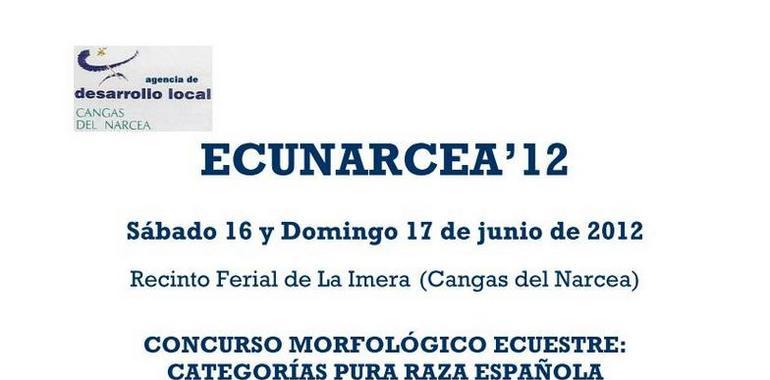 Abierto plazo de inscripción para participar en Ecunarcea 12
