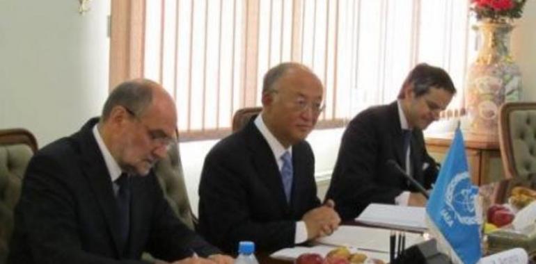 El Director dela AIEA y el Jefe de la OEAI mantienen conversaciones de mutuo interés