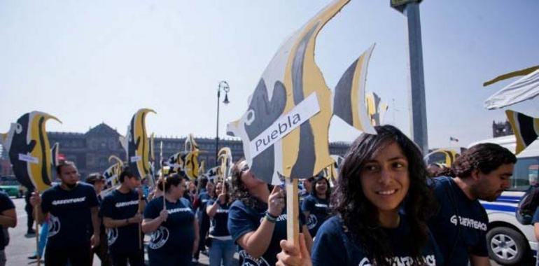 Cabo Pulmo: Greenpeace celebra la cancelación del megaproyecto turístico Cabo Cortés