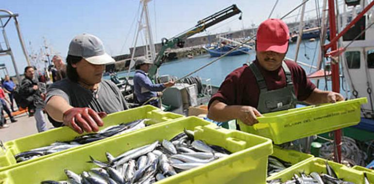 España consigue mejorar las propuestas de la UE en materia pesquera