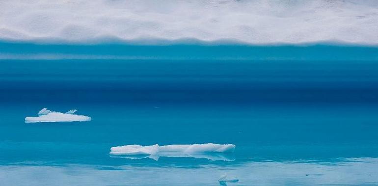  #SalvaElArtico para proteger la última frontera del planeta del petróleo y la sobrepesca