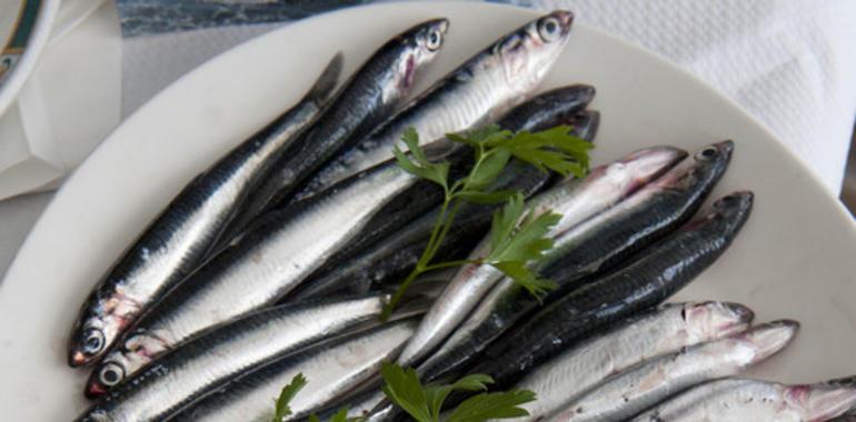 El IEO participa en la evaluación de los stocks de anchoa, sardina y jurel en el Atlántico Noroeste