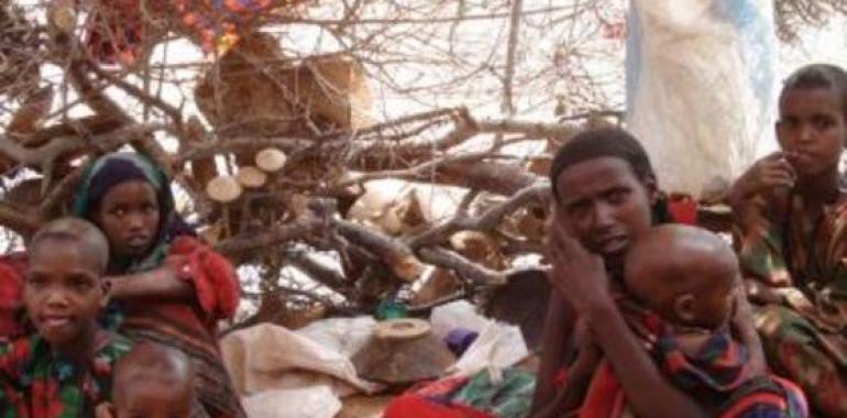 Sudán: OCHA alerta sobre deterioro de situación humanitaria