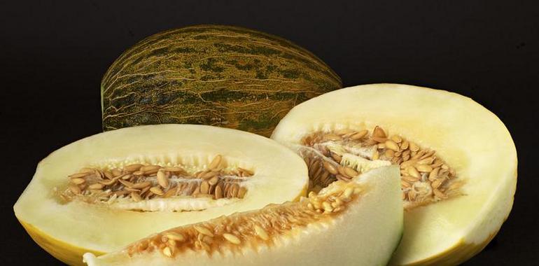 El genoma del melón, al descubierto: 27.427 genes y unos 450 millones de pares de bases
