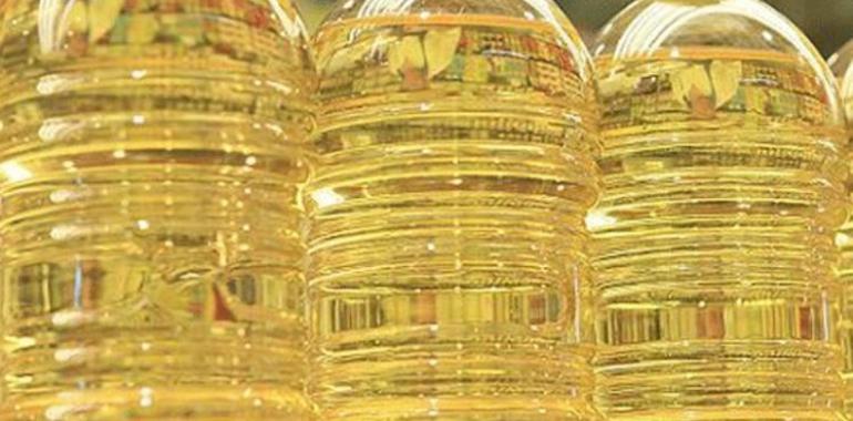 España ha conseguido convertirse en primer productor mundial de aceite de oliva
