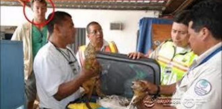 Comienza el proceso al alemán que intentó robar iguanas en Galápagos 