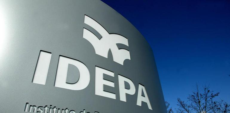 El IDEPA convoca ayudas para la mejora de las áreas industriales