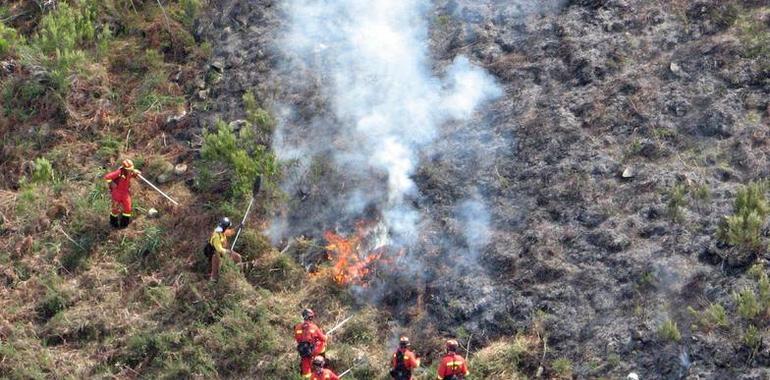 Los bomberos dan por controlado el incendio forestal de Tineo