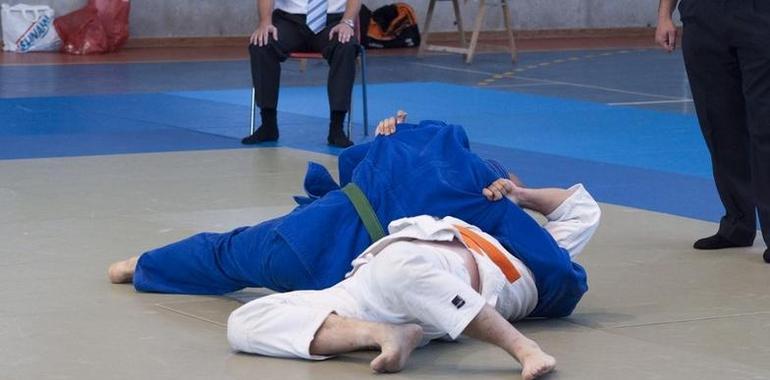XIII Torneo Internacional de Judo "Puerta de Asturias", Campeonato de Asturias de Promoción