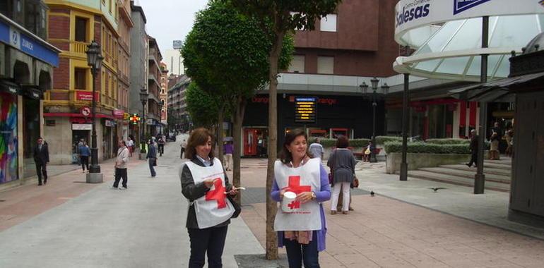 Cruz Roja en Asturias recauda 40.000 euros con su Día de la Banderita