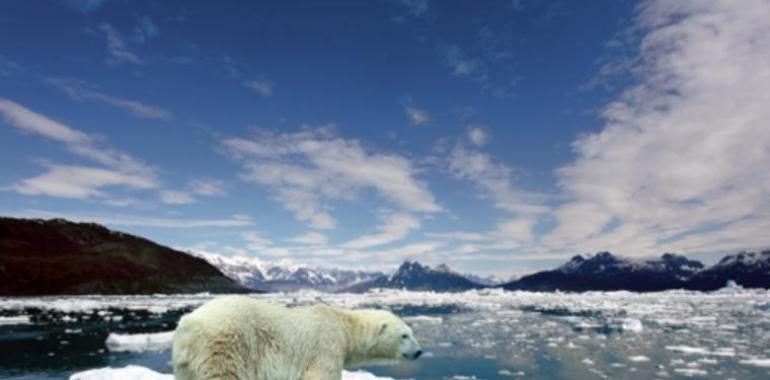 El calentamiento global afectará de forma desigual al Ártico y a la Antártida