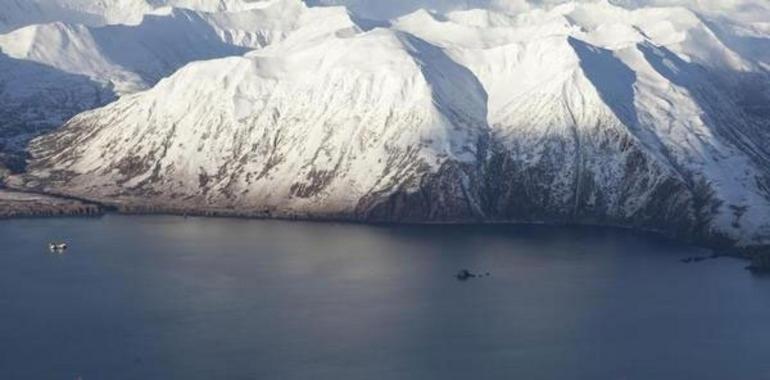 2.500.000 firmas piden con Greenpeace que el entorno del Polo Norte sea santuario protegido