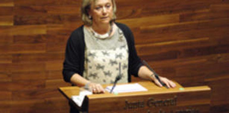 González acusa al PP de provocar un deterioro planificado y constante del parlamento asturiano