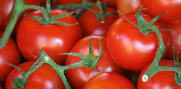 El estrés les sienta requetebién a los tomates ‘ecológicos’ 