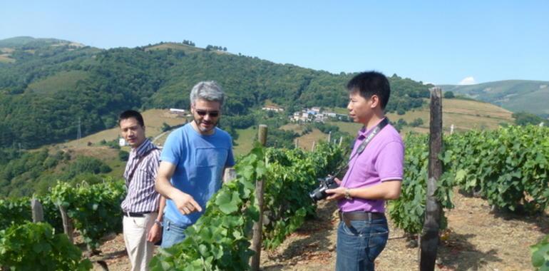 Desde Zhejiang al Monasterio de Corias en busca del vino selecto: los chinos sí que saben 