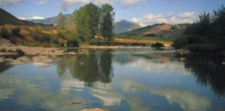Navarra autoriza la captura de 18 especies en sus ríos